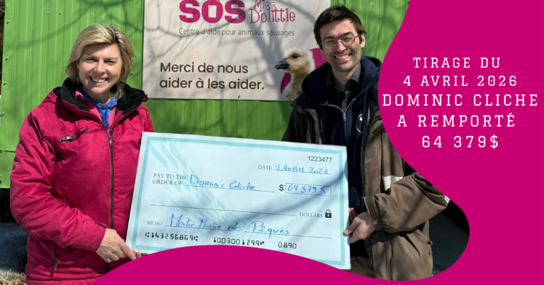 tirage 4 avril 2026
